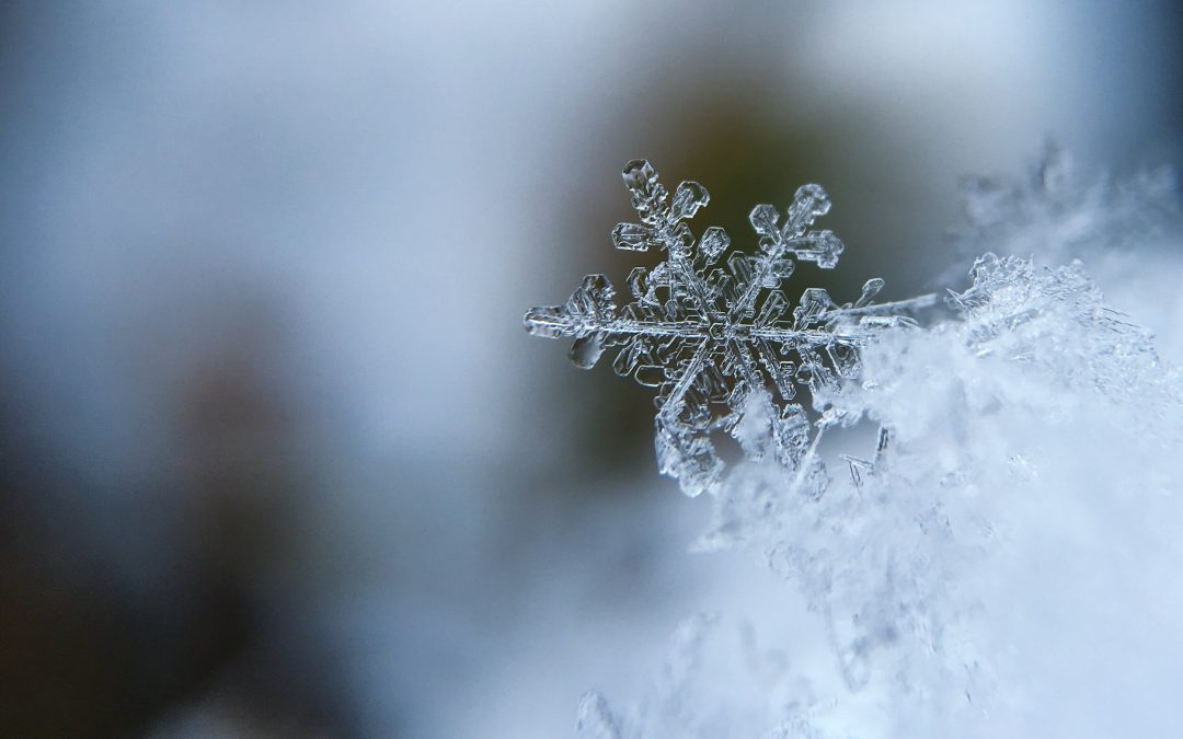 Ice Storm Slip And Fall Weather Expert