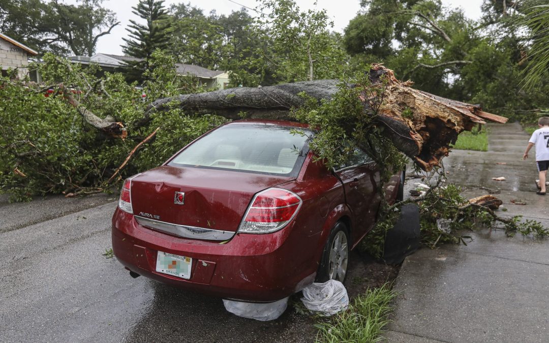 Memphis Storm Property Damage Claim Help