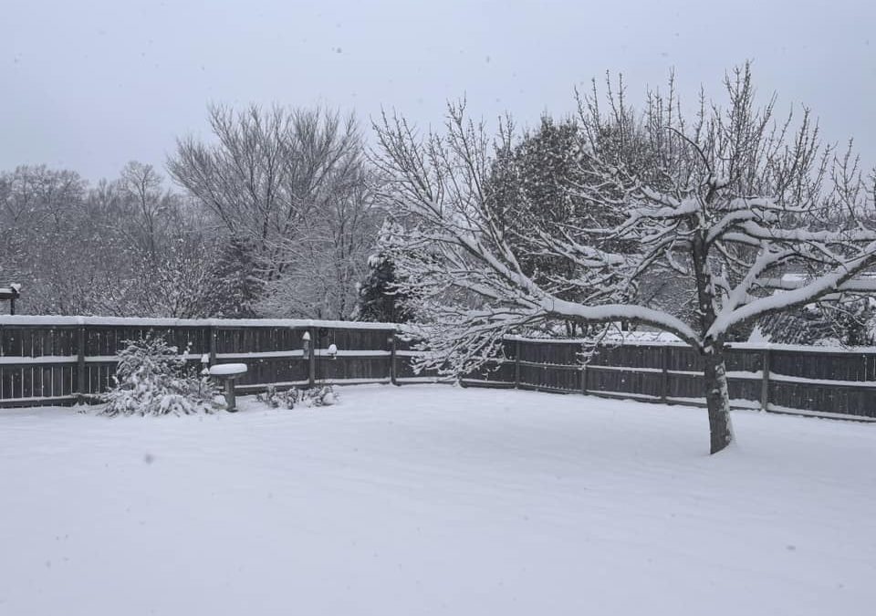 How to Prepare For the Next Winter Storm