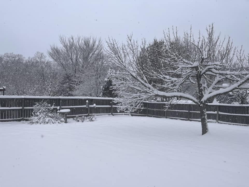 GFS FRIDAY SNOW2 FORENSIC METEOROLOGY EXPERT WITNESS FOR INSURANCE CLAIM