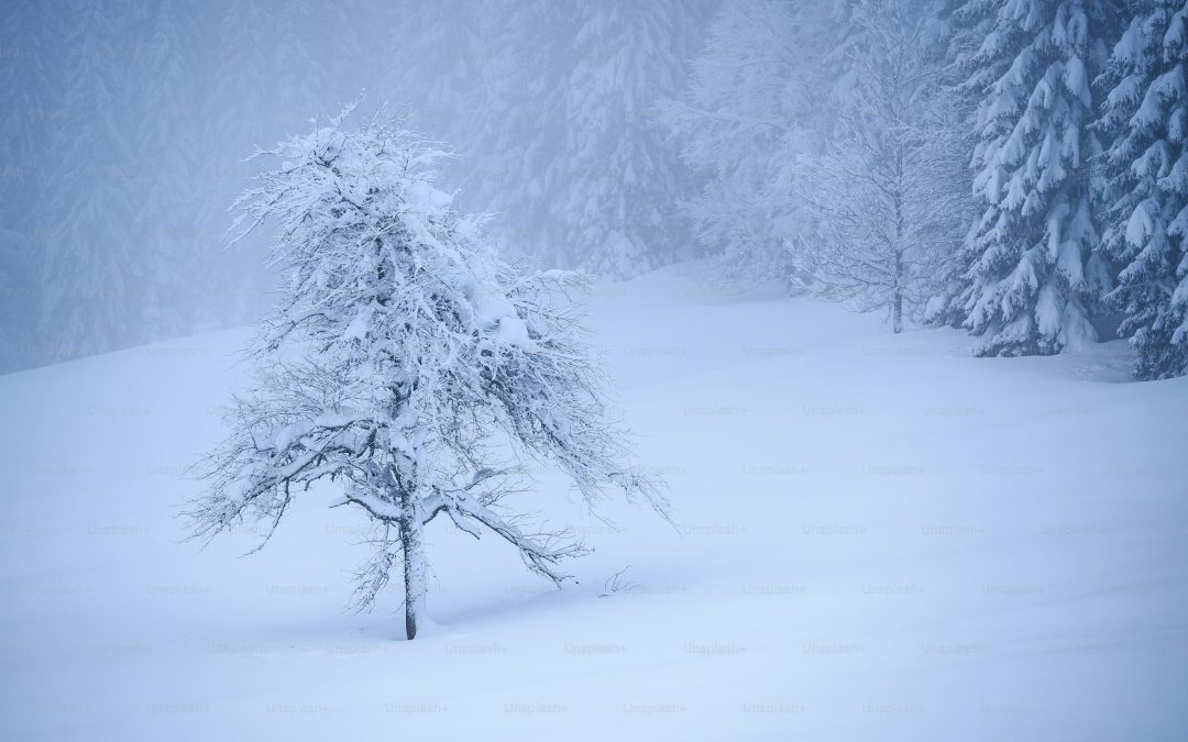 Snowy March for some