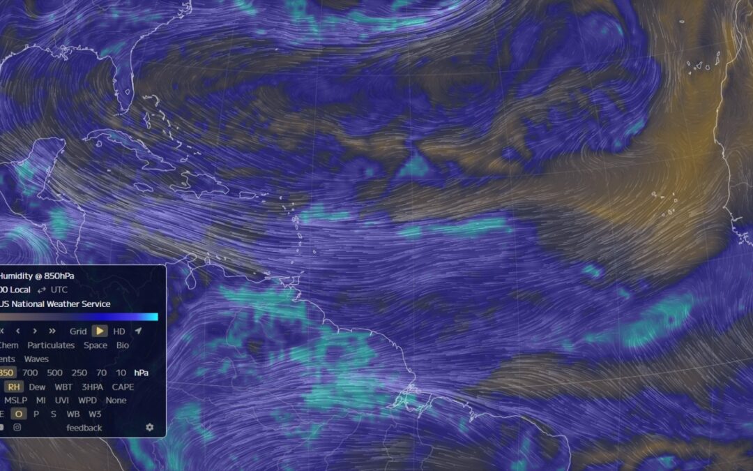 Ocean map showing 850mb wind patterns and moisture levels used to forecast hurricane formation and intensity