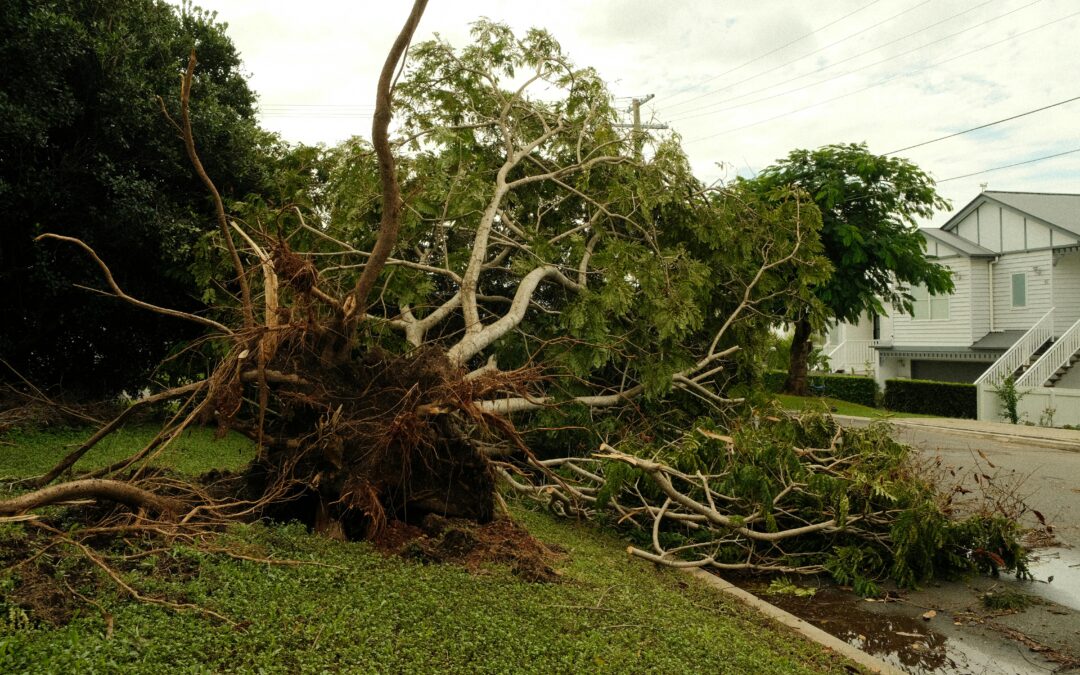 WHY PRECISE TIMING OF STORM DAMAGE IS IMPORTANT FOR INSURANCE CLAIMS