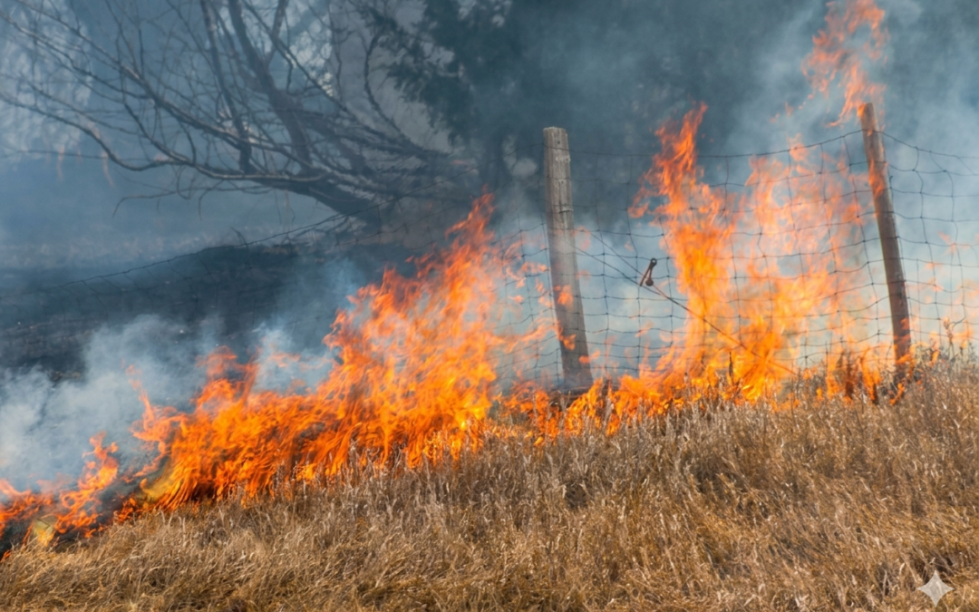 Nebraska Morrill Fire, largest wildfire in state history at 643,361 acres, burning across western Nebraska rangeland under Red Flag Warning conditions, March 2026.