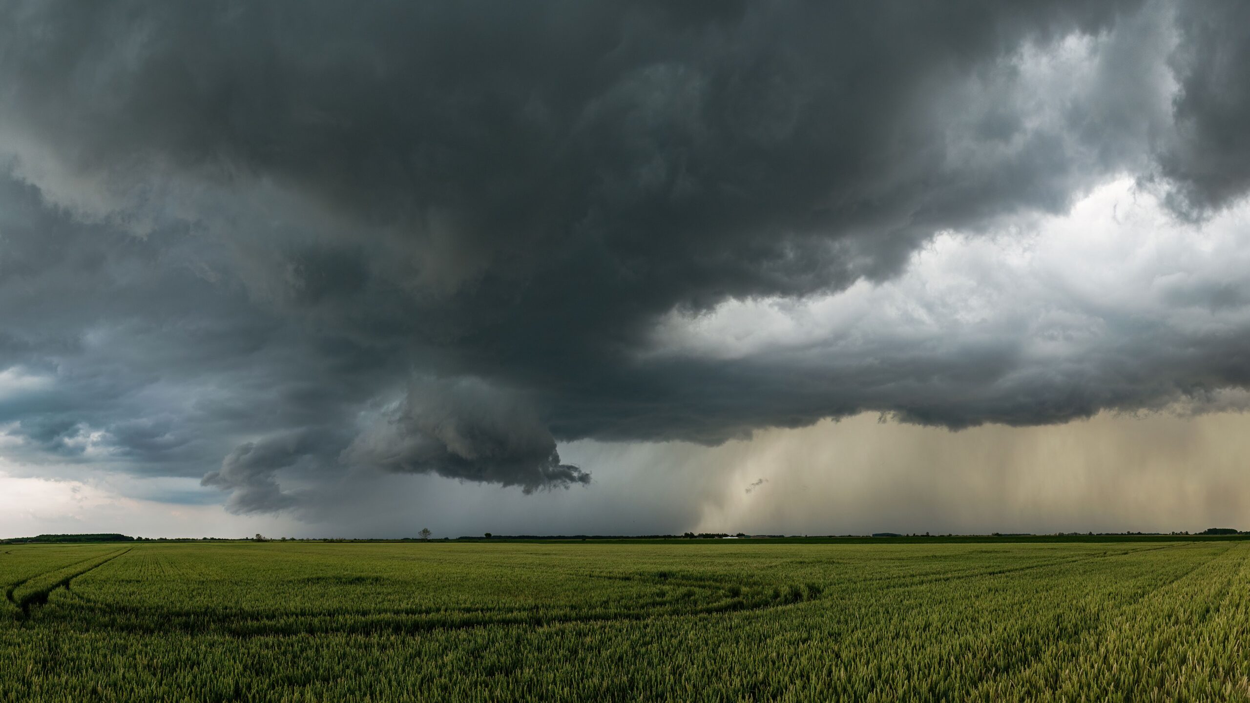 weather claims assessment