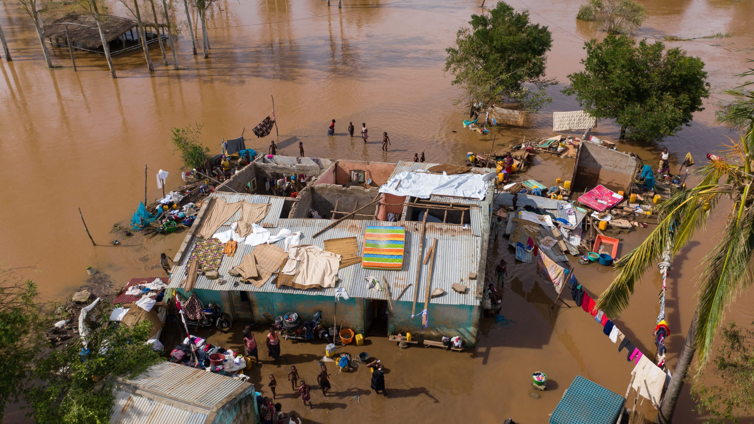 Flood Expert Witness