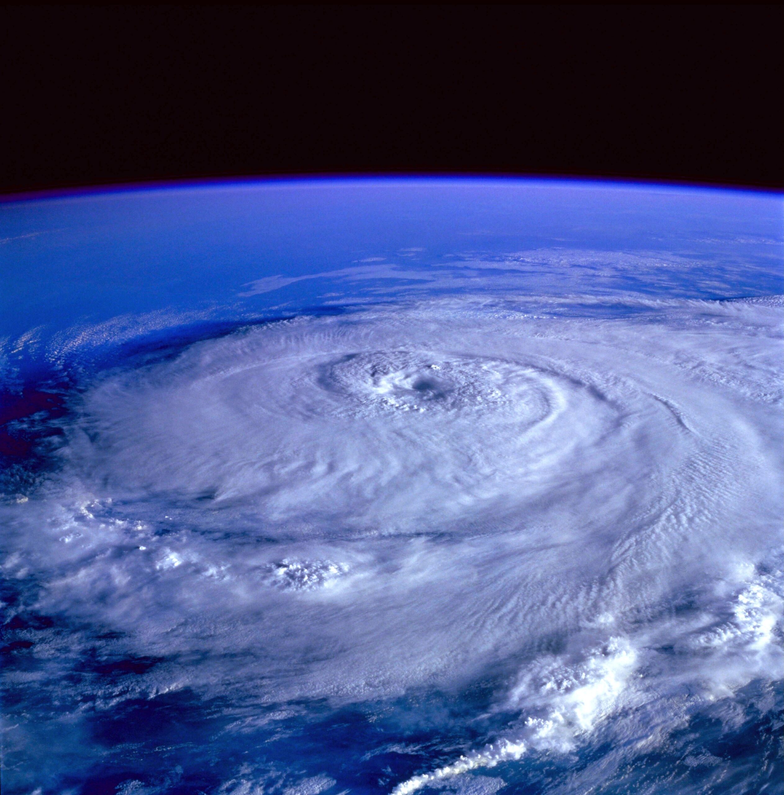 Forensic Hurricane Reports