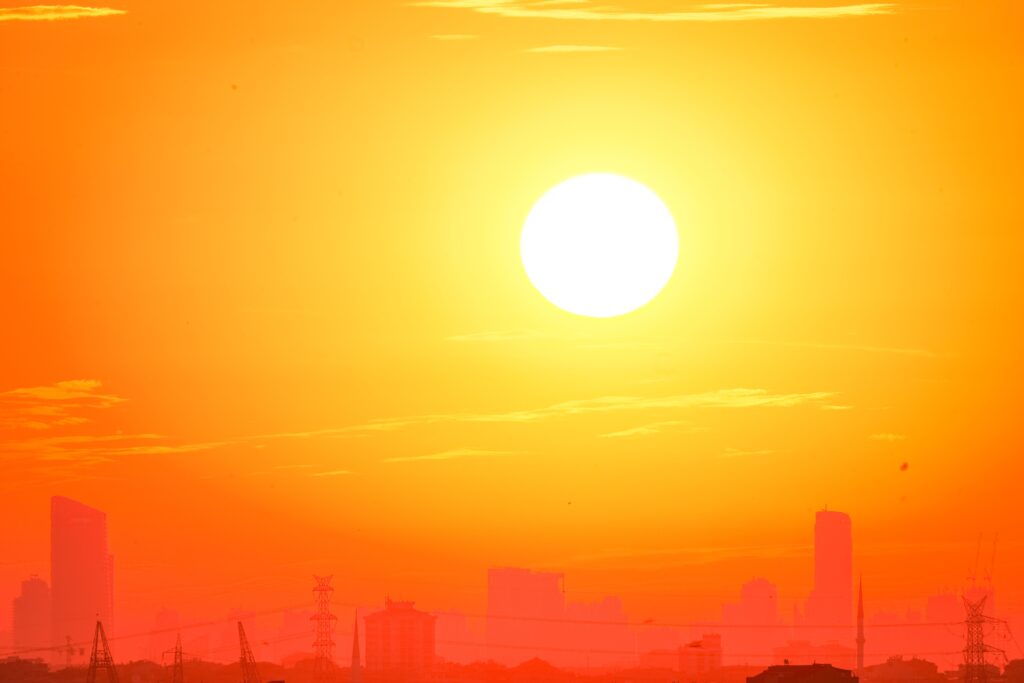 Heat Wave Expert Witness Texas