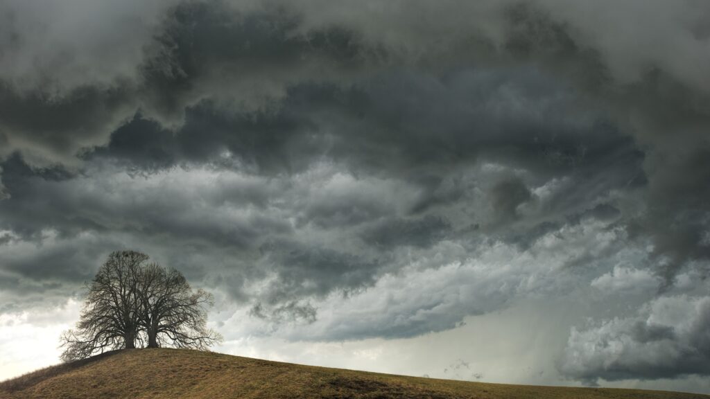 wrongful death weather expert