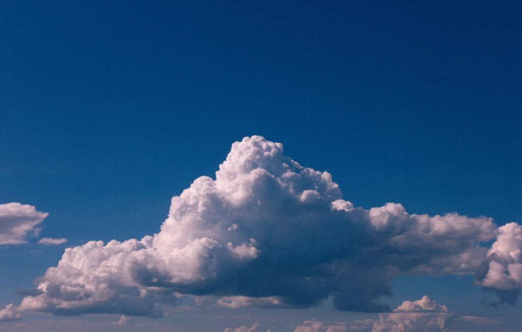 Climate Dispute Expert Service